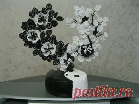 (28) Одноклассники