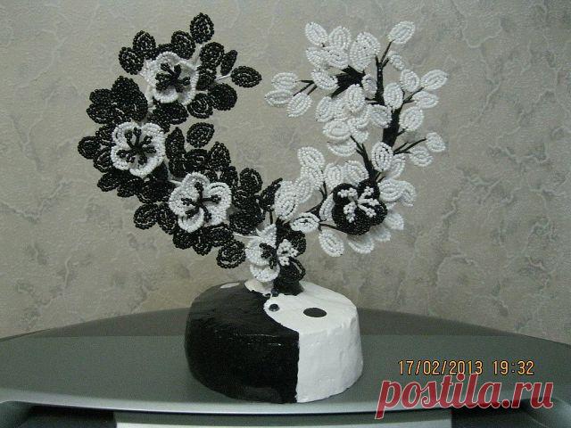 (28) Одноклассники