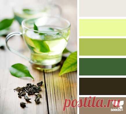 for all who ❤ color | green tea tones
