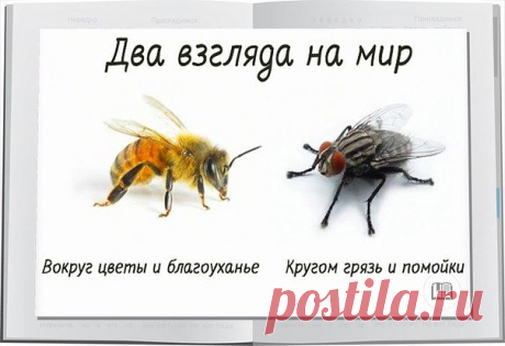 ПРИТЧА ДНЯ
Если спросить муху, есть ли здесь в окрестностях цветы, то она ответит: «Не знаю. А вот навоза, нечистот вон в той канаве полным-полно». И муха начнёт по порядку перечислять все помойки, на которых она побывала.
А если спросить пчелу: «Не видела ли ты здесь в окрестностях какие-нибудь нечистоты?», — то она ответит: «Нечистоты? Нет, не видела нигде. Здесь так много благоуханных цветов!».
Муха на самом цветущем лугу найдёт нечистое место и сядет на него, а пчела в...