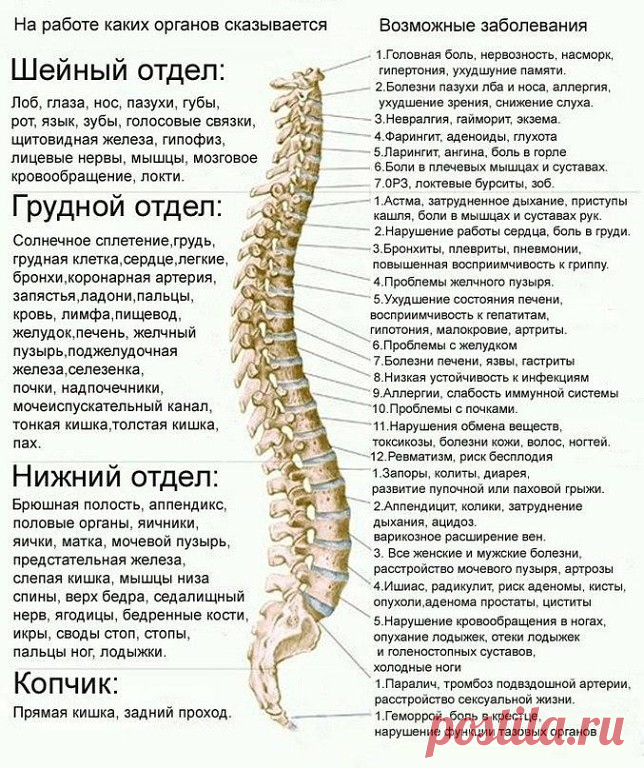 (50) Одноклассники