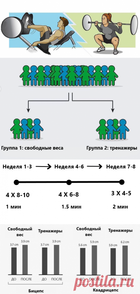 «База» против тренажеров. Прямое сравнение, что дает больше мышц и силы?
В этой статье я рассмотрю исследование, которое именно это и рассматривало. Исследователей интересовало, что нарастит больше мышечной массы и силы.   Лоб в лоб Теория Когда вы тренируетесь со свободными весами, в «базовых движениях», например жмете лежа, ваше тело задействует больше мышц, для стабилизации. В тренажерах, стабилизацию берет на себя тренажер, в итоге работает меньше […]
Читай дальше на сайте. Жми подробнее ➡