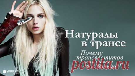 Психология статья &quot;Натуралы в трансе: почему трансвеститов становится все больше? Часть 1&quot;