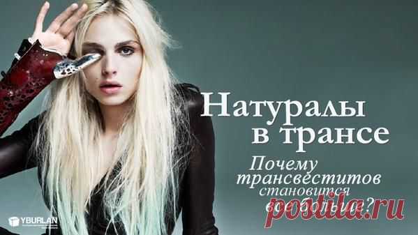 Психология статья "Натуралы в трансе: почему трансвеститов становится все больше? Часть 1"