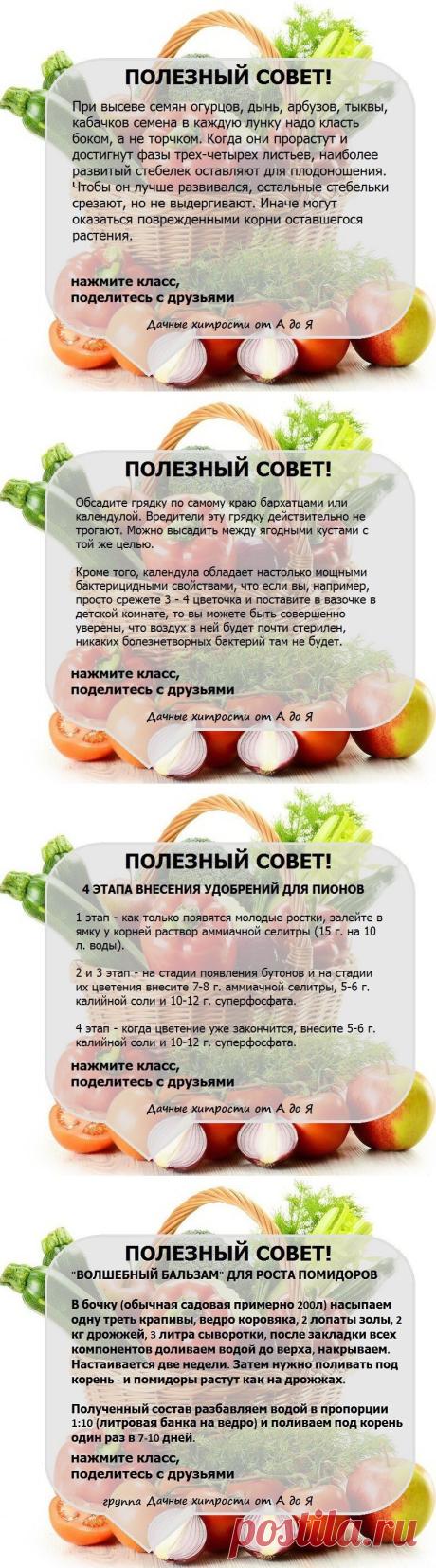 (51) Одноклассники