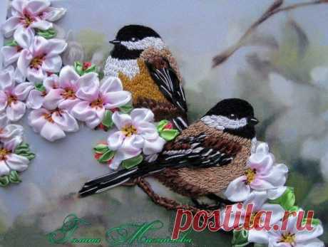 Фотографии на стене сообщества | 32 767 фотографий | ВКонтакте