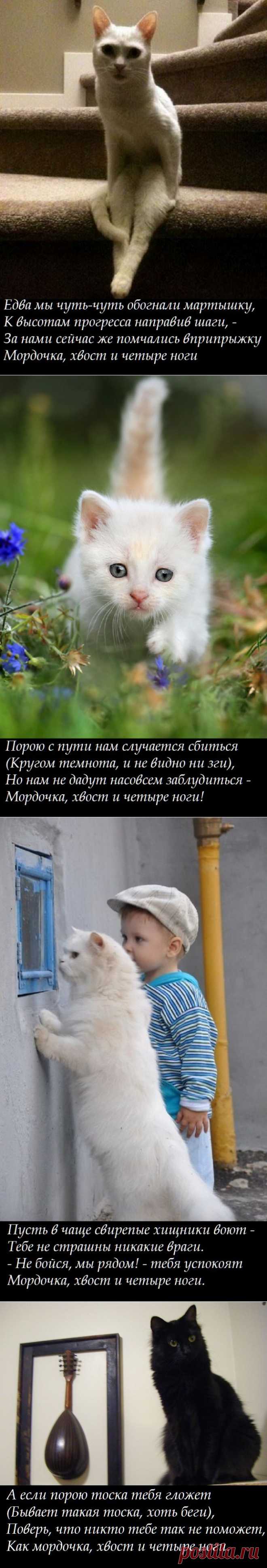 OWL Блюз - Мордочка, хвост и четыре ноги...