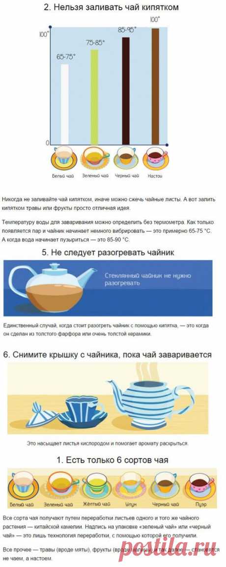 Что вы знаете о чае... - ОБЩЕНИЕ И ВСЕ САМОЕ ИНТЕРЕСНОЕ. - Группы Мой Мир