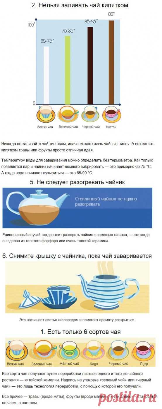 Что вы знаете о чае... - ОБЩЕНИЕ И ВСЕ САМОЕ ИНТЕРЕСНОЕ. - Группы Мой Мир