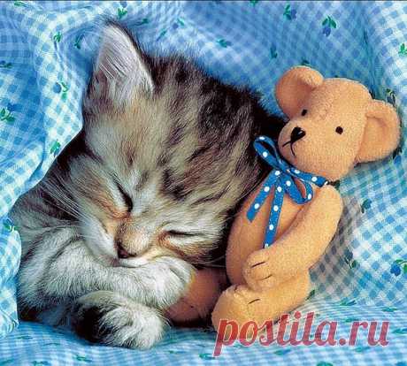 Уютного вечера и доброй ночи!

#Спокойной_ночи #Добрых_снов vk.com/prootno #Про_отношения