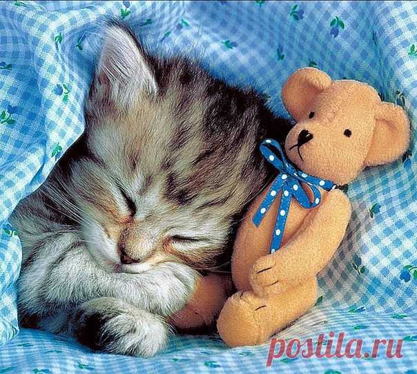 Уютного вечера и доброй ночи!

#Спокойной_ночи #Добрых_снов vk.com/prootno #Про_отношения