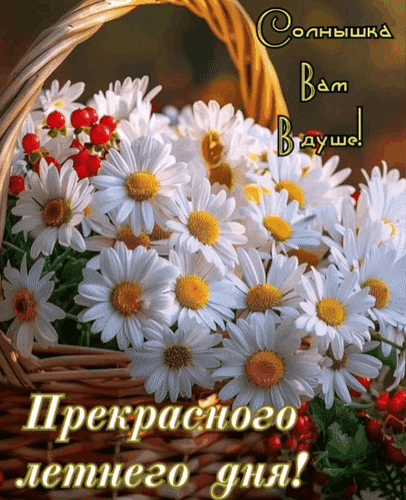 Анимированная открытка Добрый день