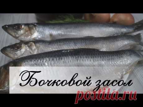 Засолка сельди в банке (Настоящий бочковой засол)