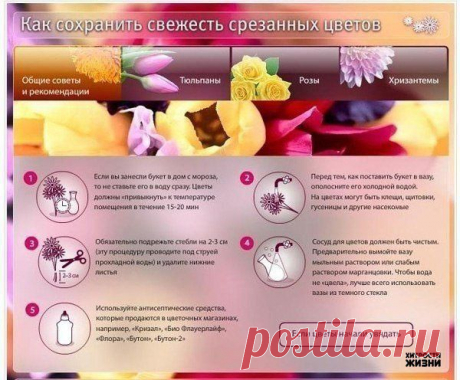Интересные новости