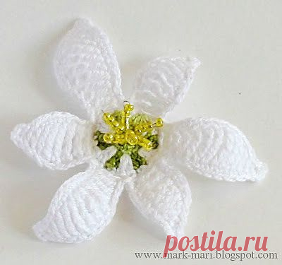 Mark-Mari: З - Зефирантес