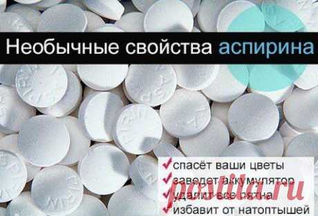 АСПИРИН - НАСТОЯЩЕЕ ЧУДО В ТАБЛЕТКАХ! Применение в быту – 9 УНИКАЛЬНЫХ СОВЕТОВ.
Аспирин используется не только в медицине, что всем известно, но и широко применяют в быту, не по прямому назначению, как говорится. Об этом ниже: