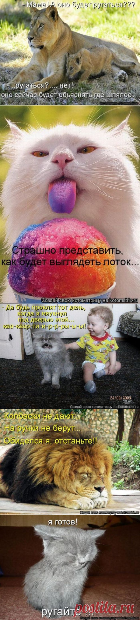 Уфф!!! Ну наконец-то! Котоматрицы великолепные, каждая с доброй улыбкой!!!