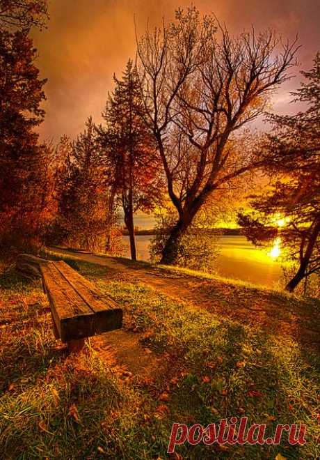 (359) Pinterest