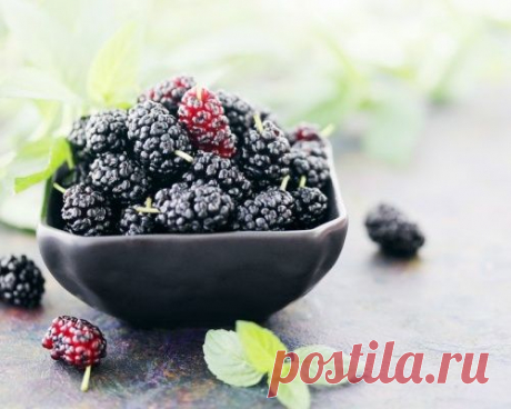 Шелковица: Полезные свойства и рецепты