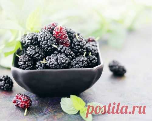 Шелковица: Полезные свойства и рецепты