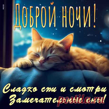 Доброй ночи я желаю
И самых-самых ярких снов.
Представь, что рядом засыпаю,
Шепча на ухо пару слов.