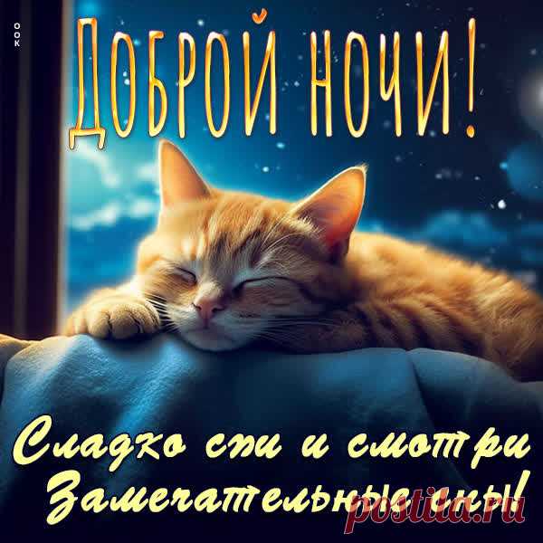 Доброй ночи я желаю
И самых-самых ярких снов.
Представь, что рядом засыпаю,
Шепча на ухо пару слов.