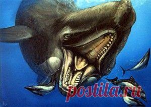 Кто такой левиафан: крупный дельфин или кашалот