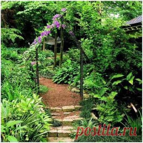 Ажурная пергола для дачи своими руками