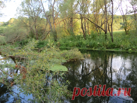 Вот такая природа нашего района