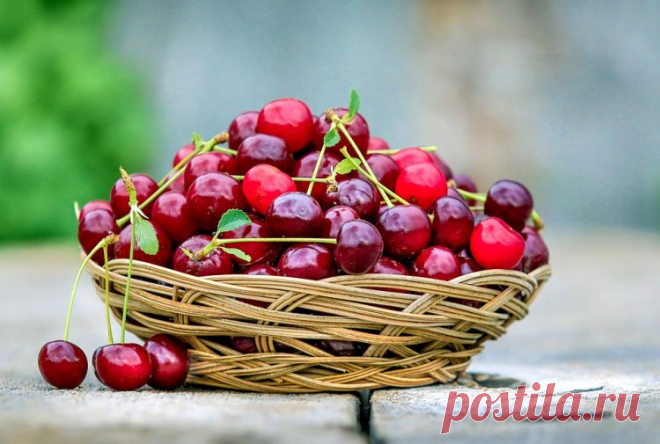 Черешня сильнее аспирина. Что нужно знать о свойствах этой вкусной ягоды? В ягодном сезоне сейчас царит черешня, которая обладает многочисленными лекарственными свойствами. В Древней Греции эту ягоду даже причисляли к классу лекарств.   В ягодном сезоне сейчас царит