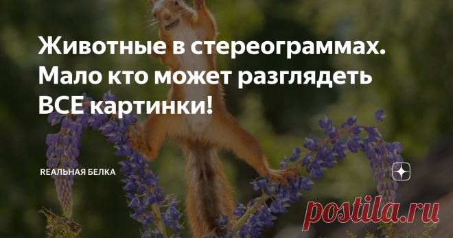 Животные в стереограммах. Мало кто может разглядеть ВСЕ картинки! Животный мир увлекателен и таинственен. Стереограммы с животными - двойная тайна!
