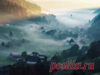 Самые жуткие леса планеты Эти леса сами по себе достаточно жуткие. Добавьте некоторые городские легенды о жертвах убийств, которые теперь бродят по лесу как призраки, и вы никогда не захотите снова гулять по нему. Мы собрали 1…