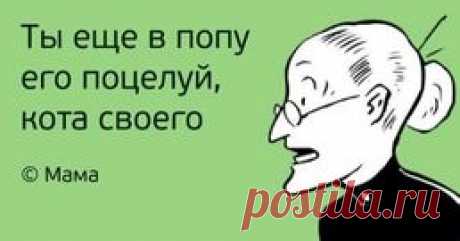 40 великих цитат наших родителей, с которыми не поспоришь.