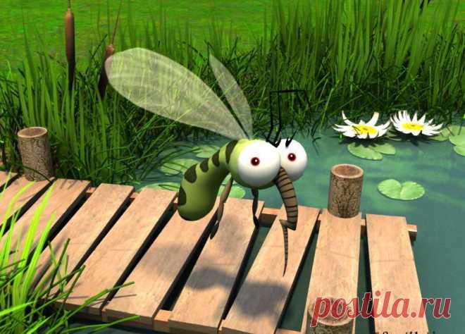 Простая и эффективная ловушка для насекомых без затрат — 6 соток