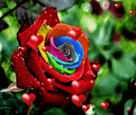 96107175816a245f792930e3c7c75f32.gif (540×457)