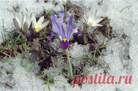 Вас все еще раздражают приглашения о работе через интернет? Через 5-10 лет ваши "раздражители" станут миллионерами, а вы будете продолжать каждый день ходить на работу за 150$ в месяц и играть в онлайн-игры по вечерам...Выбор за вами. Напишу подробнее о работе в интернете всем.