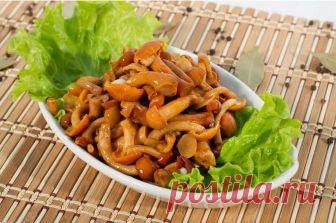 Маринованные опята на зиму: 6 простых рецептов маринованных опят Маринованные опята в нашей семье уходят самыми первыми. Еще ни одна из заготовленных баночек не достояла хотя бы до января.