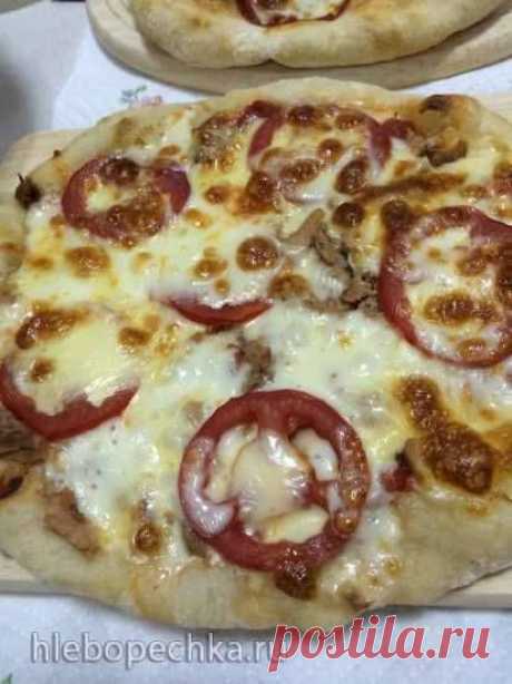 Тесто для пиццы неаполитанское (Neo-Neopolitan Pizza Dough) Peter Reinhart - ХЛЕБОПЕЧКА.РУ - рецепты, отзывы, инструкции