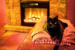 Цветы для начинающих | Самоцветик