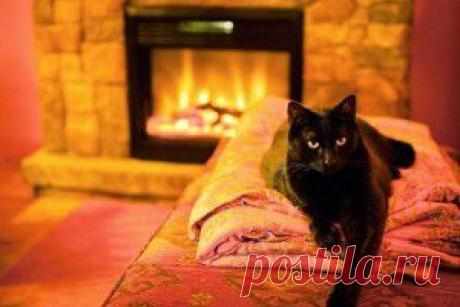 Цветы для начинающих | Самоцветик