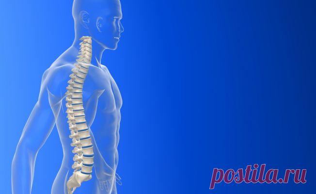 Вытяжение позвоночника: кому, зачем и как | ВитаПортал - Здоровье и Медицина