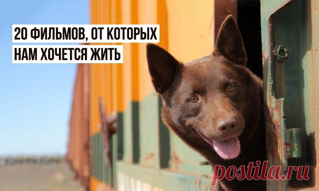 20 фильмов, от которых нам хочется жить