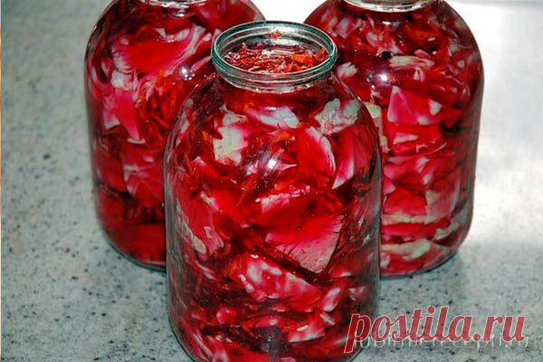 ХИТ МОЕЙ ГРУЗИНСКОЙ ПОДРУГИ! КАПУСТА, МАРИНОВАННАЯ В БАНКАХ, ПО-ГРУЗИНСКИ ХИТ МОЕЙ ГРУЗИНСКОЙ ПОДРУГИ! КАПУСТА, МАРИНОВАННАЯ В БАНКАХ, ПО-ГРУЗИНСКИ Это что-то неописуемо вкусное! В Грузии капусту принято мариновать со свеклой и сельдереем. Еще одно отличие такого способа от