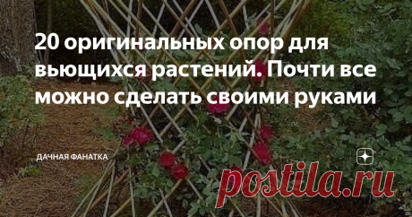 20 оригинальных опор для вьющихся растений. Почти все можно сделать своими руками Вертикальное озеленение - полезная вещь в саду. Можно посадить красивые вьющиеся и плетистые растения, внести разнообразие в пейзаж, уйти от монотонности плоских грядок и цветников.
Нужны опоры. Конечно, сейчас в продаже множество стандартных конструкций из металла, бамбука, дерева и пластика. Но хочется чего-то необычного. Поставишь одну креативную штуковину - и сад сразу преображается,