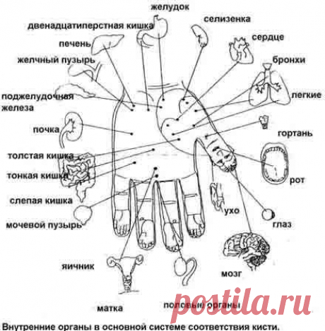 Су Джок терапия