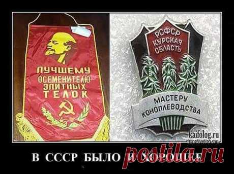 (2) Колорады, ватники и рашисты
