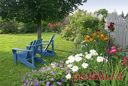 Какие цветы сажать весной? / Домоседы