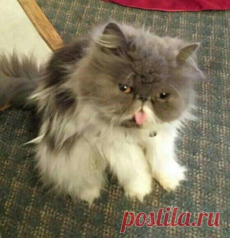 Can't get much cuter!