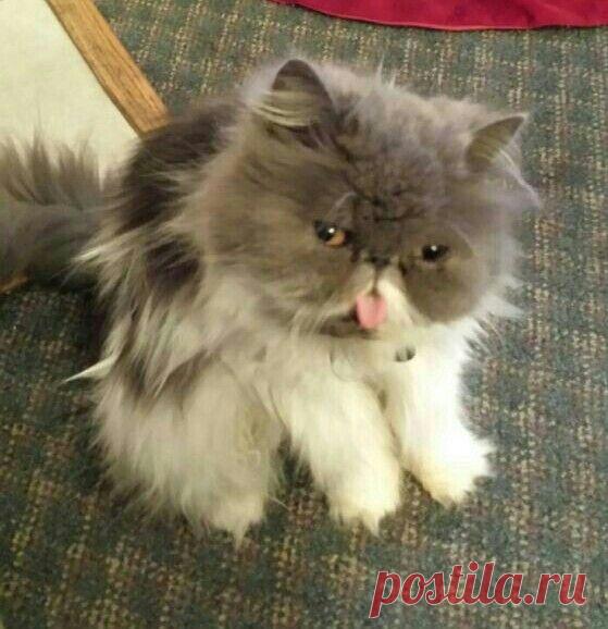 Can't get much cuter!