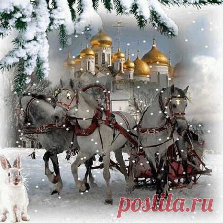&quot;чИтАй&quot; только не &quot;пЛаЧь''
Светлана Щербакова